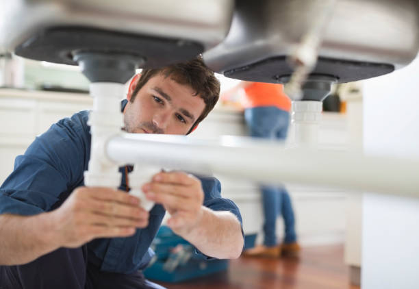 Best Commercial Plumbing Services  in Whitney, NV