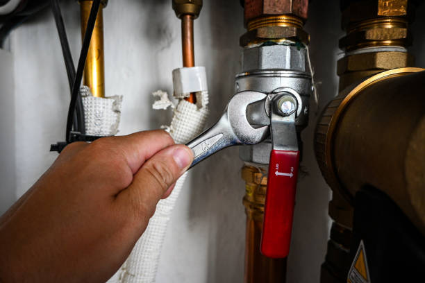 Best Toilet Repair Services  in Whitney, NV